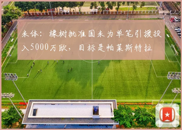 米体：橡树批准国米为单笔引援投入5000万欧，目标是帕莱斯特拉