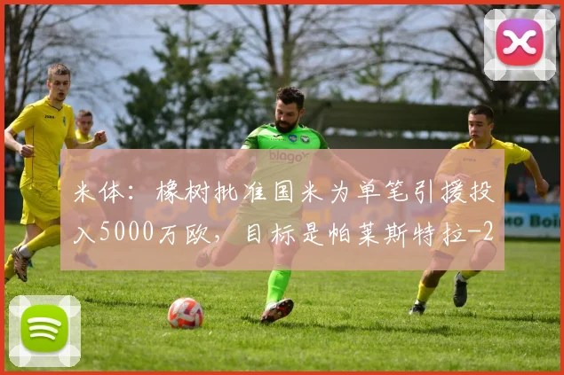 米体：橡树批准国米为单笔引援投入5000万欧，目标是帕莱斯特拉